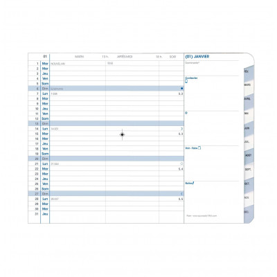 QUOVADIS - Recharge Plain 10x15cm  - MENSUEL