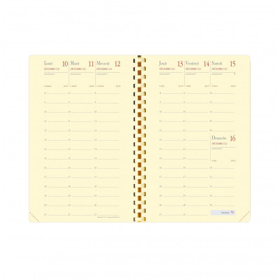 QUOVADIS - Recharge Planning 16S 9x16cm  - 1 semaine sur 2 pages Vertical