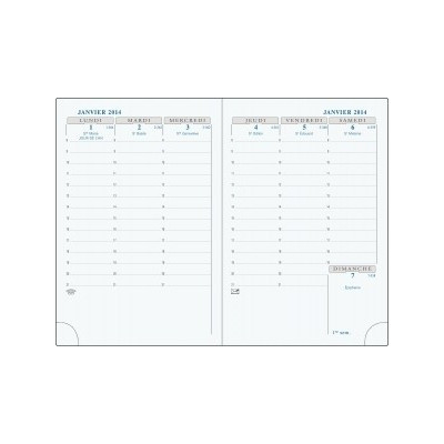 EXACOMPTA - Recharge agenda Horizons 13 tranche or + répertoire - 130x90 mm