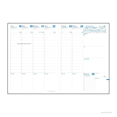 QUOVADIS - Recharge pour agenda Consul® 21 x 29,7cm - 1 semaine sur 2 pages avec répertoire