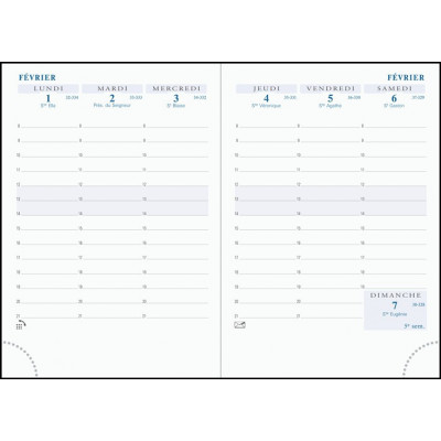EXACOMPTA - Recharge agenda Horizons 15 tranche or - 155x105mm - 1 semaine sur 2 pages - VERTICAL
