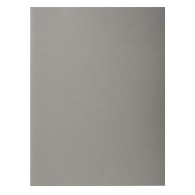 100x Chemises 24x32cm recyclées EXACOMPTA - Forever 250 - 220g - GRIS