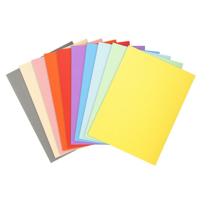 100x Chemises 24x32cm recyclées EXACOMPTA - Forever 250 - 220g - (COLORIS ASSORTIS)