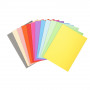 100x Chemises 24x32cm recyclées EXACOMPTA - Forever 250 - 220g - (COLORIS ASSORTIS)