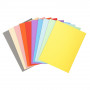 100x Chemises 24x32cm recyclées EXACOMPTA - Forever 180 - 170g - (COLORIS ASSORTIS)