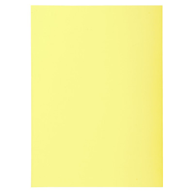 250x Sous-chemises 22x31cm recyclées EXACOMPTA - SUPER 60 - 60g - JAUNE CANARD