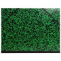 Carton à dessin EXACOMPTA - 26x33cm - capacité 30mm - NOIR/VERT