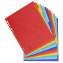 12x Intercalaires carton EXACOMPTA - 24,2x29,7cm - A4+ (COLORIS ASSORTIS)