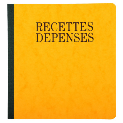 EXACOMPTA Piqûre Recettes-Dépenses Numérotée – Format Vertical 21×19 Cm – Lot De 2 Couleurs Aléatoires