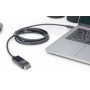 Câble adaptateur USB Type-C Gen 2 2,0 m- DIGITUS