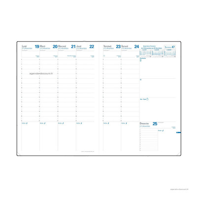 QUOVADIS - Recharge pour agenda CONSUL format 21x29,7cm