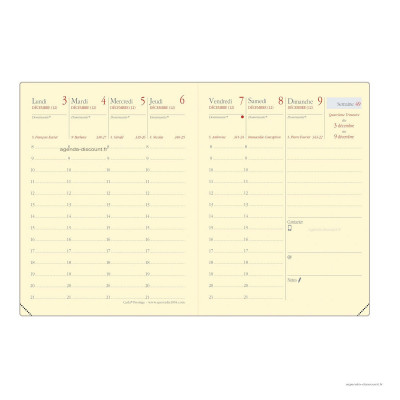 QUOVADIS - Recharge pour agenda CARLA Prestige format 8x10,5cm