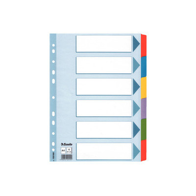 12 positionsx Intercalaire A4ESSELTE - 22,5x29,7cm - MULTICOLORE