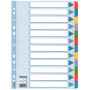 12 positionsx Intercalaire A4ESSELTE - 22,5x29,7cm - MULTICOLORE