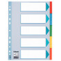 12 positionsx Intercalaire A4ESSELTE - 22,5x29,7cm - MULTICOLORE