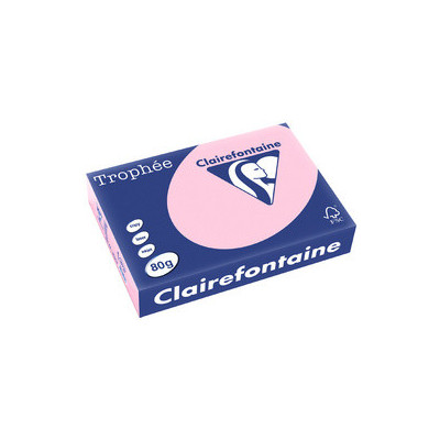 Papier CLAIREFONTAINE A4 - 80g - ASSORTI - 500 feuilles - 21x29,7cm