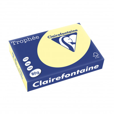 Papier CLAIREFONTAINE A4 - 80g - CANARI - 500 feuilles - 21x29,7cm