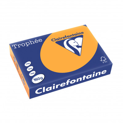 Papier CLAIREFONTAINE A4 - 160g - CLEMENTINE - 250 feuilles - 21x29,7cm