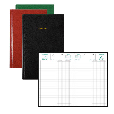 EXACOMPTA - Agenda Carré recettes-dépenses - 210x135mm - 1 jour par page - (COULEURS ALEATOIRES)