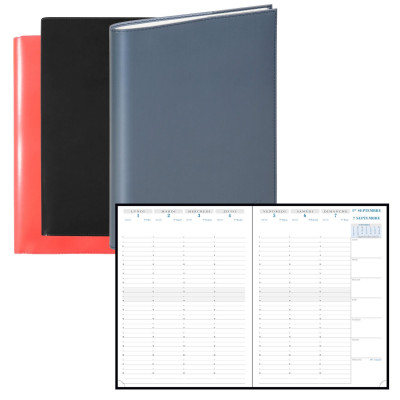 EXACOMPTA - Agenda SAD 29 Verone - 21x29,7cm 1 semaine sur 2 pages (COLORIS ALEATOIRES)